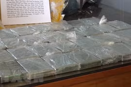 Drug trafficker caught in Dien Bien