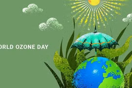 Vietnam joins global efforts in protecting ozone layer
