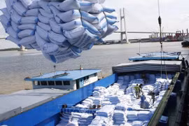Vietnamese firms win bids for rice exports