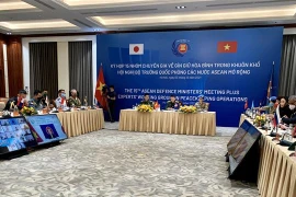 Vietnam co-chairs 15th meeting of Experts' Working Group on Peacekeeping Operations