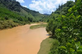 ADB helps GMS in environmental sustainability