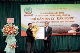 Dak Nong receives geographical indication for locally grown pepper