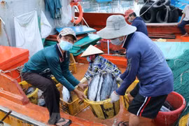 Deputy Minister requests efforts to remove IUU fishing warning