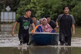Floods, loss of biodiversity, sea level rise remain top concerns in Southeast Asia: Survey