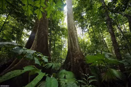 Australia supports Southeast Asian countries in climate change response 