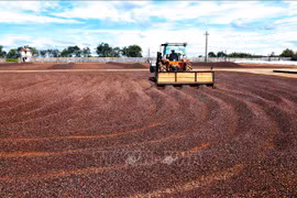 Vietnamese farm produce favoured in China