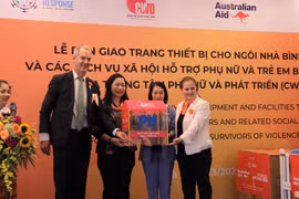 UN Women helps upgrade services assisting violence victims in Vietnam