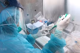 Vietnam confirms 53 more COVID-19 cases on early June 2