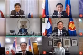 Vietnam co-chairs 15th meeting of ASEAN-Japan Joint Cooperation Committee