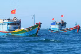 Ben Tre reports reduction in illegal fishing in foreign waters 