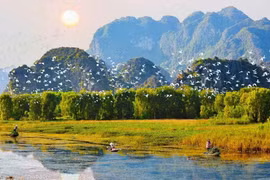 Webinar discusses solutions to ecosystem restoration in Vietnam
