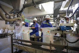 PetroVietnam works to help remove legal barriers