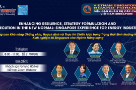 Hanoi to host Vietnam - Singapore forum for senior leaders in energy industry