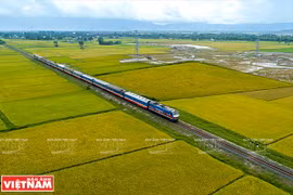 Prefeasibility study of HCM City – Can Tho rail project to be made