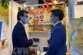 Vietnam looks to expand cooperation with Hong Kong