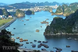 FDI flows into Quang Ninh province rise sharply