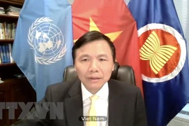 Vietnam voices concerns over escalating violence in Yemen