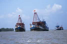 Vietnam’s border guards take tougher actions against IUU fishing