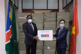 Vietnamese people assists African countries in COVID-19 combat