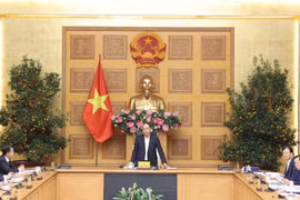 Da Nang city set to become special urban area