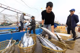 Indonesia eyes partnering with Vietnam in fisheries 