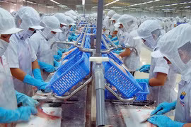  Economist suggests three focuses to revive Vietnam’s economy