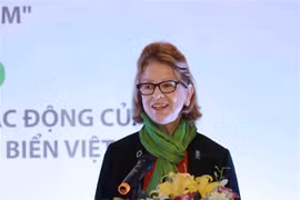 Vietnamese show stronger interest in legislative body: UNDP representative