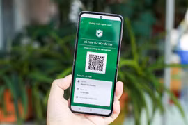 HCM City to pilot COVID-19 green cards in three districts 