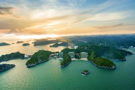 Travel agencies discuss overcoming pandemic's consequences