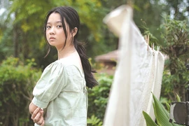 Vietnamese, Hollywood films hit cinemas in festive season