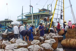 Fishery sector carries out electronic traceability