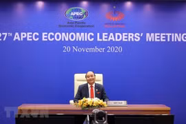 President’s participation in APEC meetings to raise Vietnam’s stature in multilateral activities