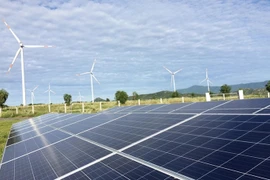 Vietnam seeks consultancy in developing energy technologies