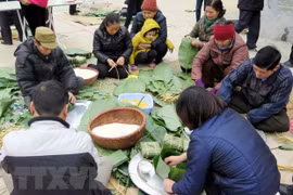 Tet activities set for ethnic cultural village