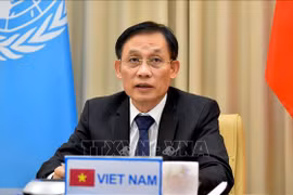 Building modern, extensive diplomacy: Deputy Foreign Minister