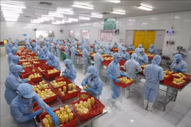 RCEP to help farm produce expand presence in global markets