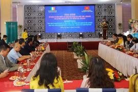 Quang Tri, Ireland mark 15-year cooperation