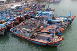 China’s military drill in Hoang Sa violates Vietnam's sovereignty: Spokeswoman