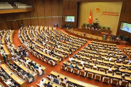 Vietnamese intellectuals in Germany have high expectations of new government