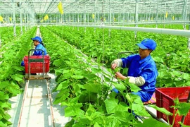 Vietnam eyes green and sustainable agriculture 