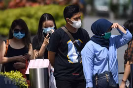 Ensuring safety, medical care for Vietnamese people in Singapore: spokesperson