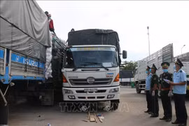 Provinces tighten control along border after Cambodia records first Omicron variant case