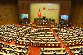 Great national solidarity significant for Vietnam to overcome difficulties: NA leader