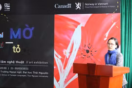 Thai Nguyen university’s exhibition sheds light on gender violence