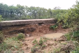 More efforts urged to deal with flood consequences in central, southern regions
