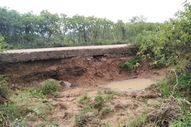 More efforts urged to deal with flood consequences in central, southern regions