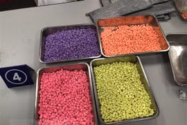 HCM City seizes 31kg of drugs sent from abroad by mail