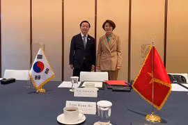 Vietnam, RoK press ahead with cooperation toward carbon neutrality