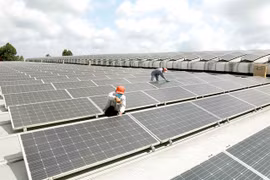Experts disagree with coal roadmap in Power Development Plan