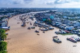 Climate change impacts in Mekong Delta require construction sector to make careful calculations: Experts